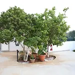 Cottage-casolare Pugliese سان فيتو دي نورماني