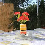 Cottage-casolare Pugliese بيت للعطل
